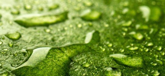 Promotion for the Nice Swimming Pool, Spa & Garden Show 2026